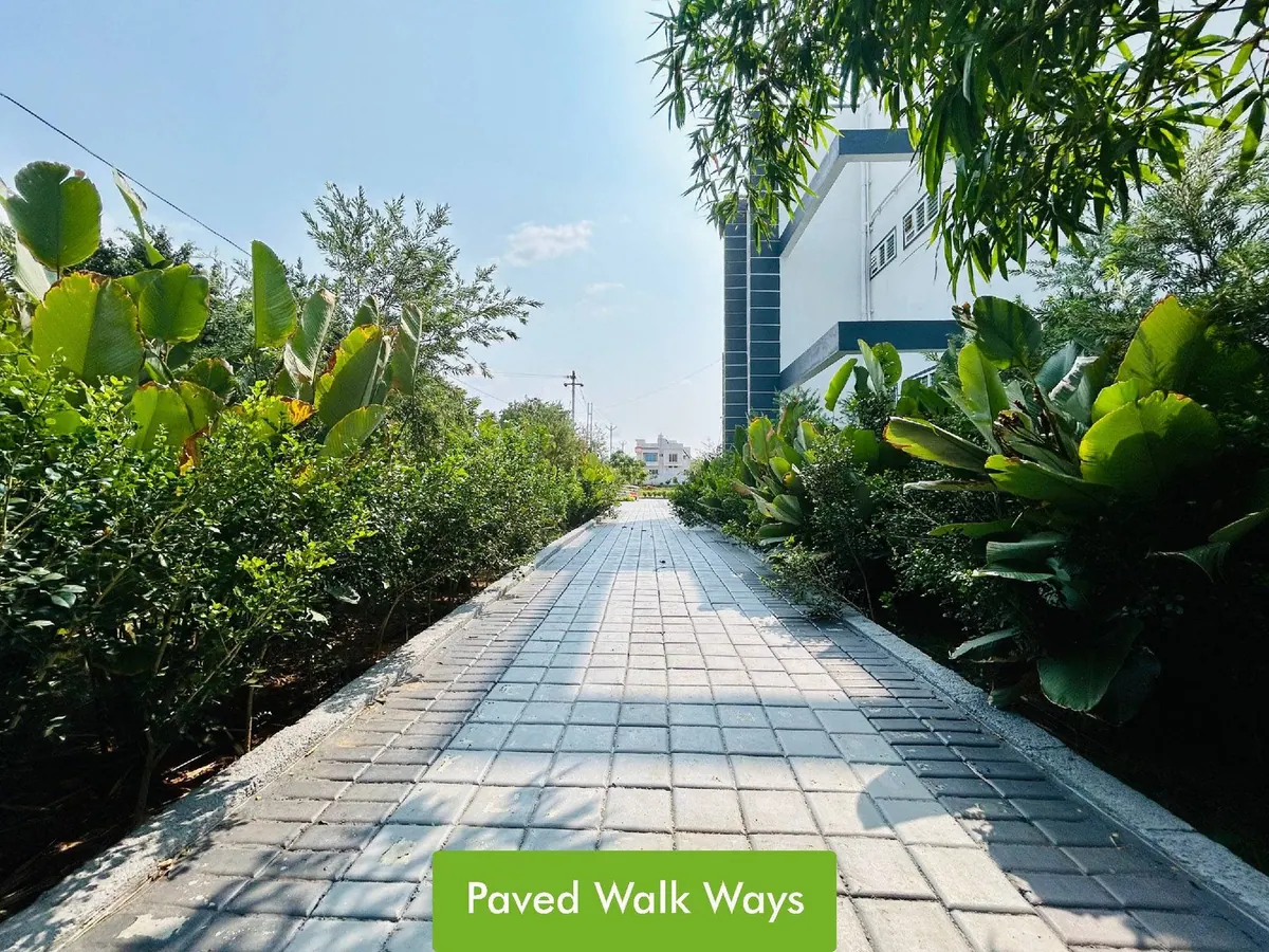 Paved pathways at Sai Srushti Sangamam